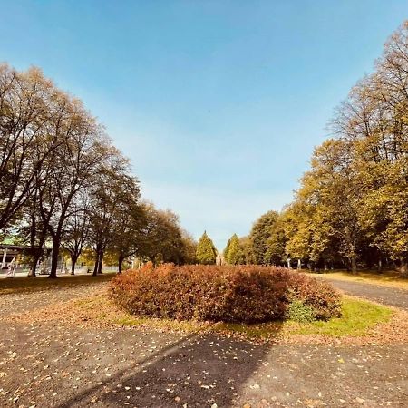Apartamenty Ktw Silesia City Center - Park Slaski Katoviçe Dış mekan fotoğraf