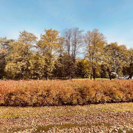 Apartamenty Ktw Silesia City Center - Park Slaski Katoviçe Dış mekan fotoğraf