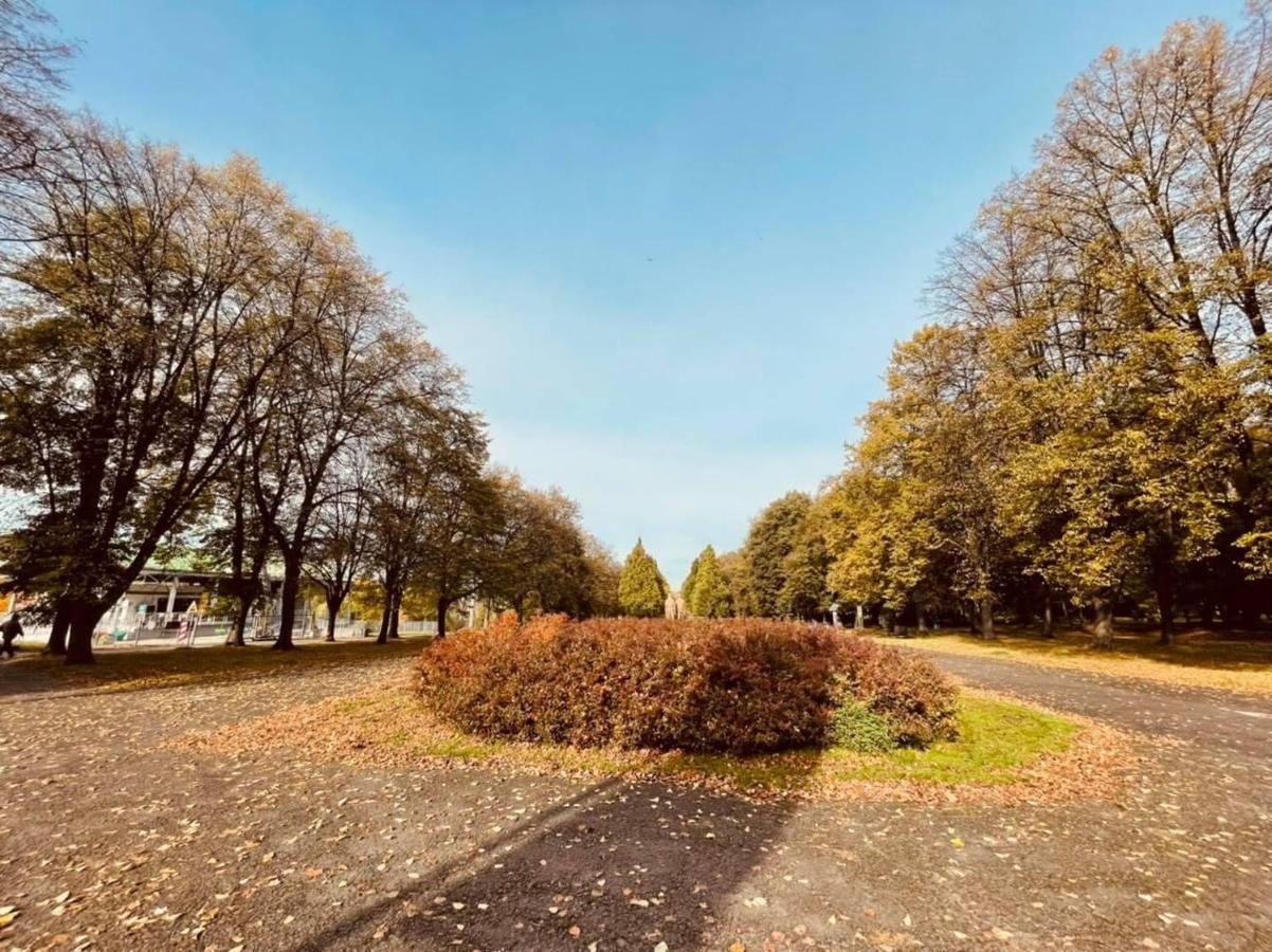 Apartamenty Ktw Silesia City Center - Park Slaski Katoviçe Dış mekan fotoğraf
