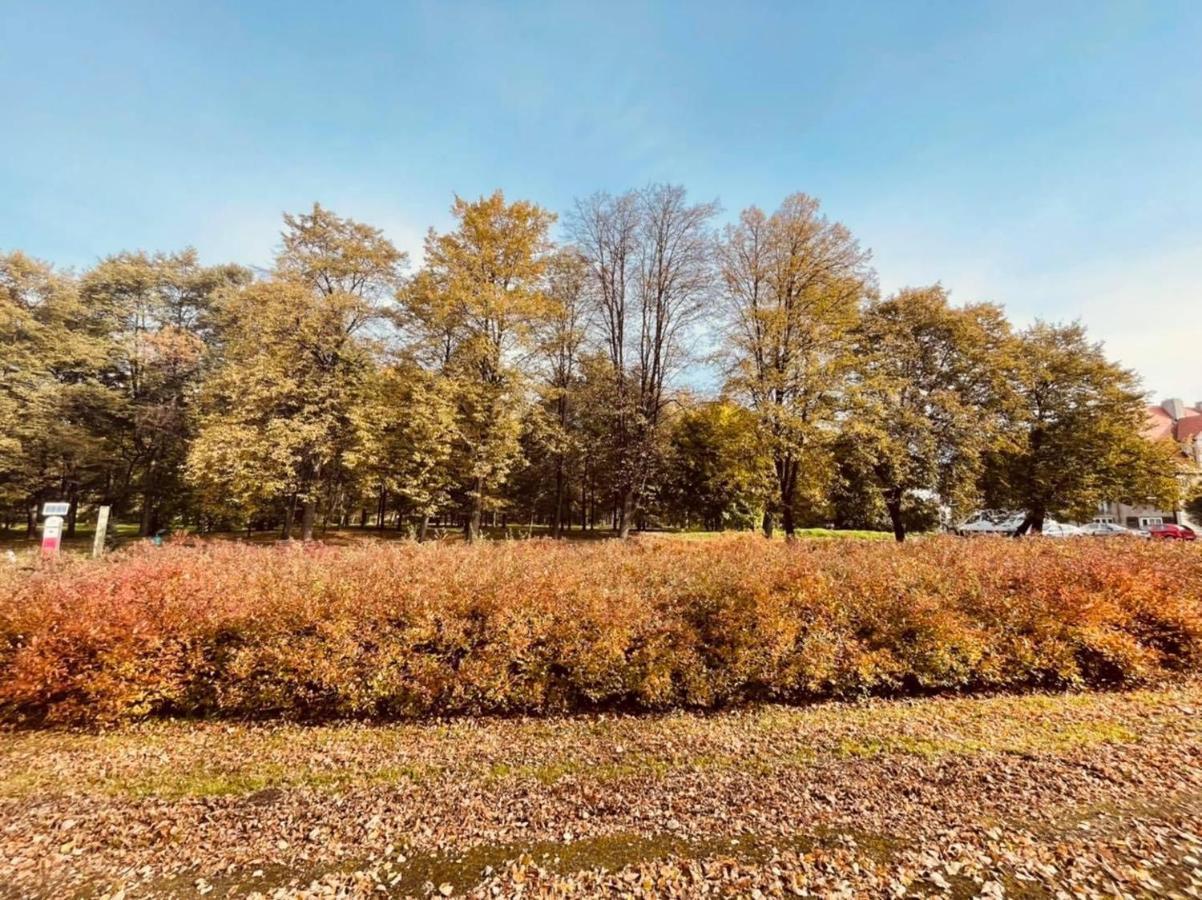 Apartamenty Ktw Silesia City Center - Park Slaski Katoviçe Dış mekan fotoğraf